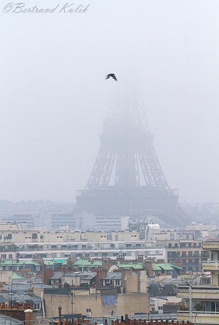 Parisian Mist