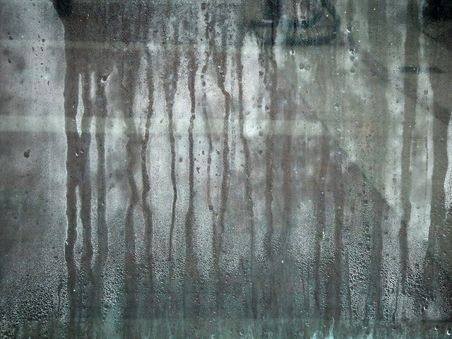 abstract of dripping condensation on a window