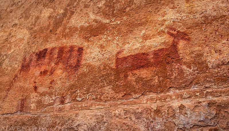 Deluge Shelter Pictographs