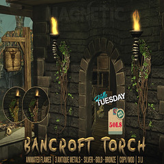 Bancroft Torch - HT