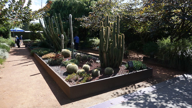 Arboretum cactus garden