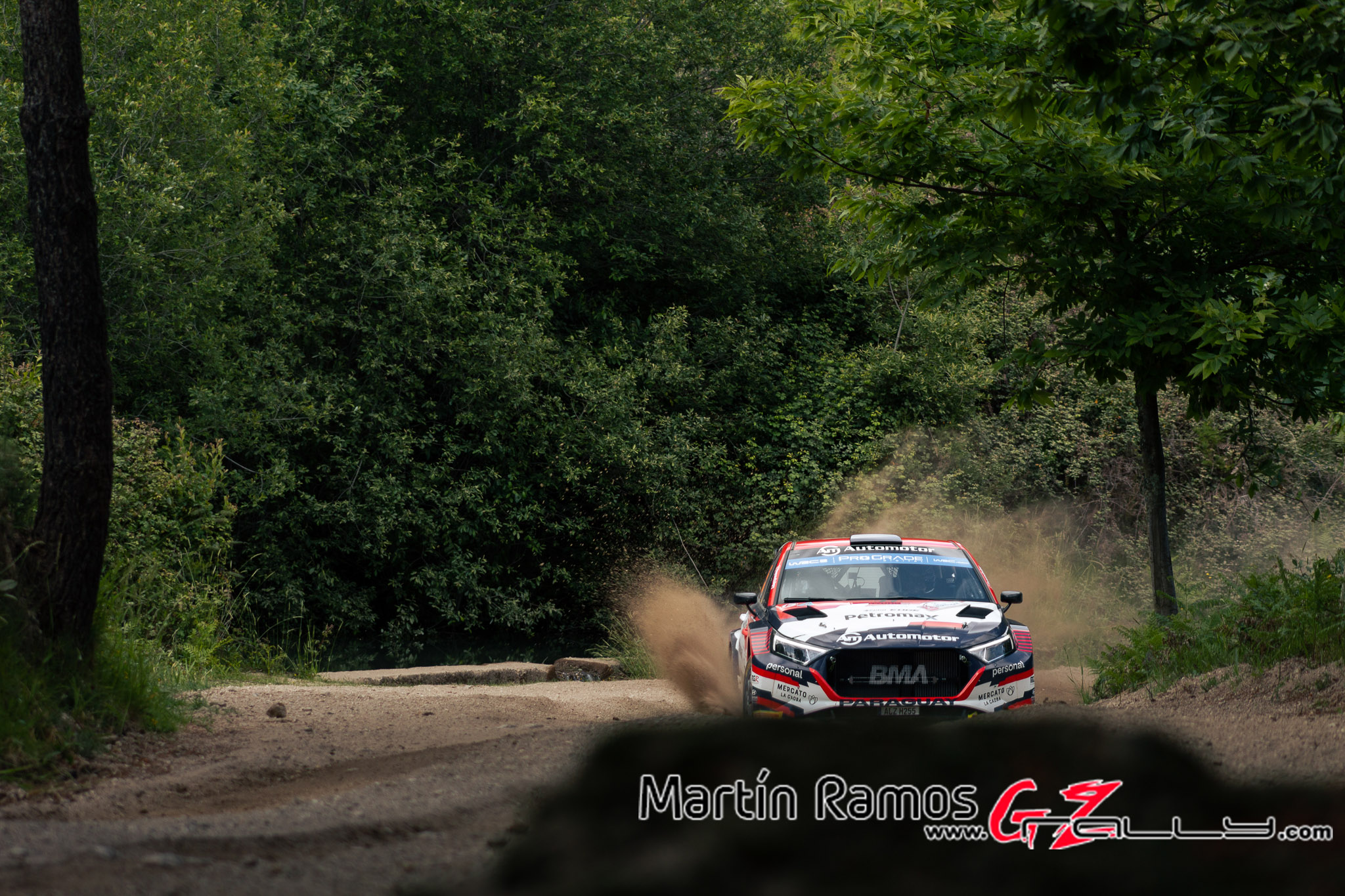 Rally de Portugal WRC - Martin Ramos