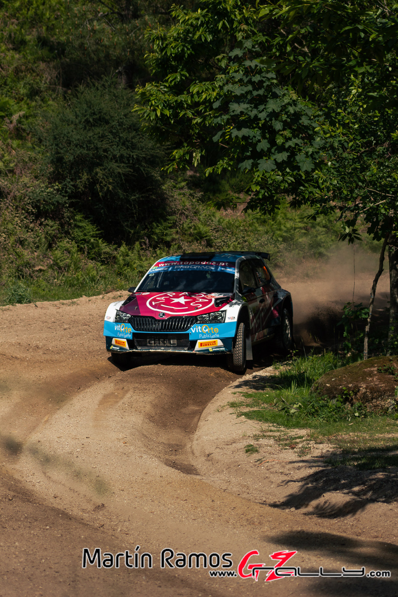 Rally de Portugal WRC - Martin Ramos