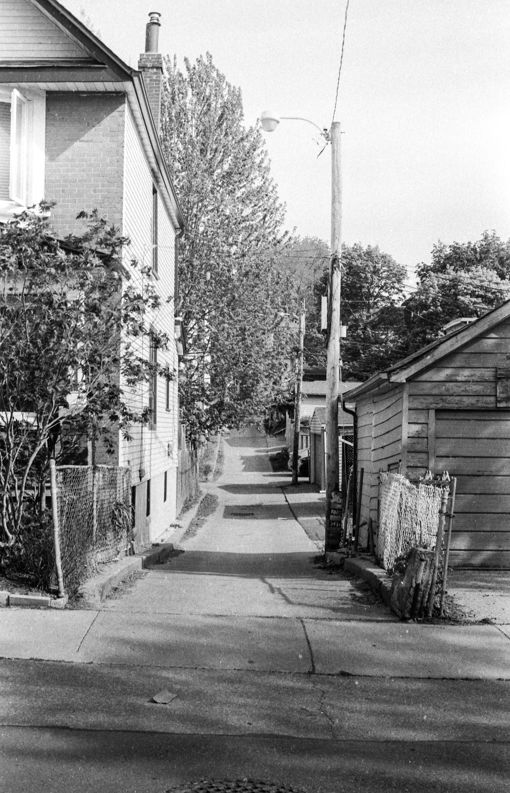 Riverdale Alleyway Off Bain Ave
