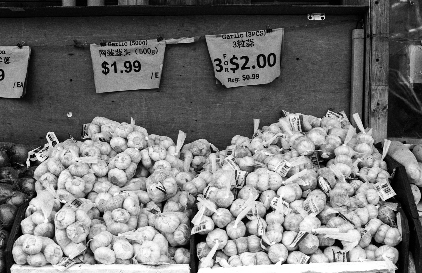 Chinatown East Garlic For Sale