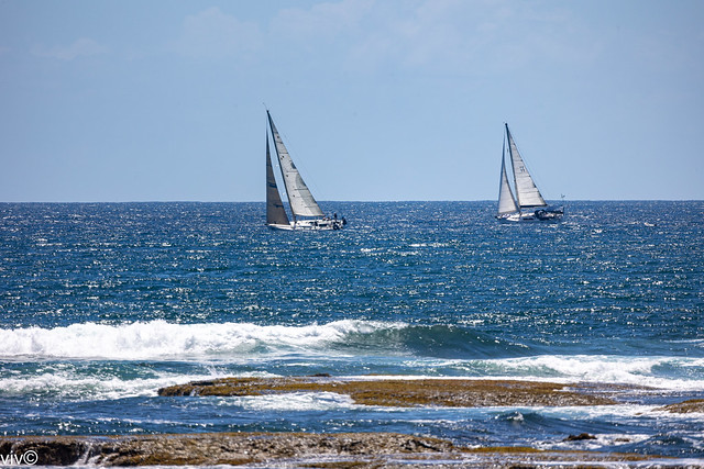 On a sunny summer noon, two yachts cruise the lovey blue waters off Fishermans Beach, Collaroy, New South Wales, Australia. Uncropped image