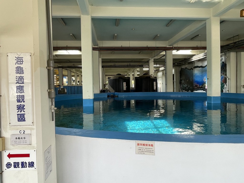 海生館海龜收容中心。攝影：劉庭莉