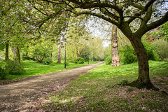 Derby Arboretum (5 of 13)