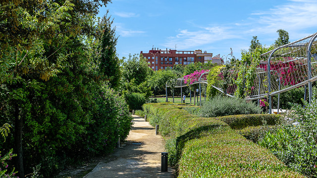 Urban Valencia ( Gardens in Central Park) (Panasonic LX100-II)