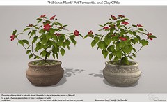 .:Tm:.Creation "Hibiscus Plant" Pot Terracotta & Clay GP62
