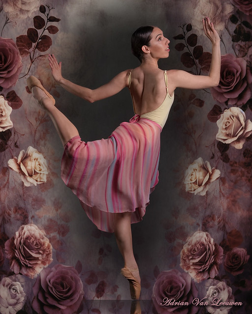 Beautiful Ballerina Julia Walters