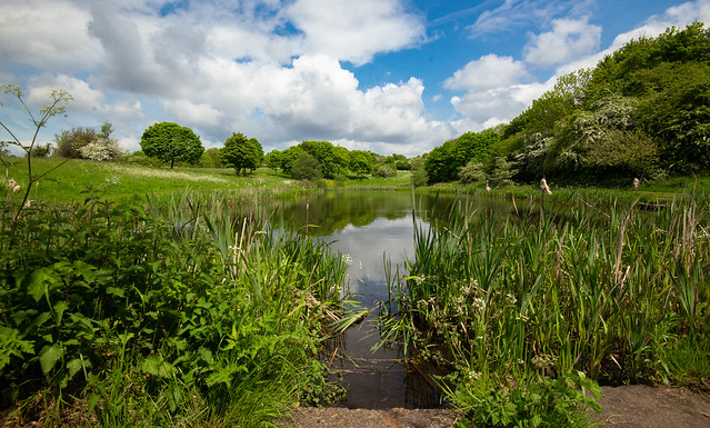 Bumble Hole country park