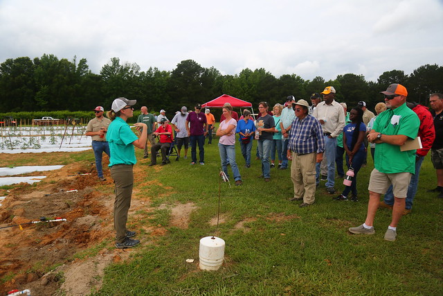 Horticulture field day 2022 participants listen to researchers present material.