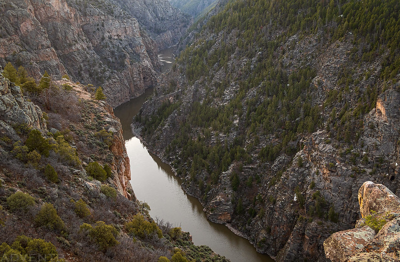 Black Canyon View
