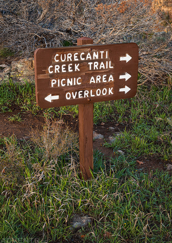Curecanti Creek Trail Sign