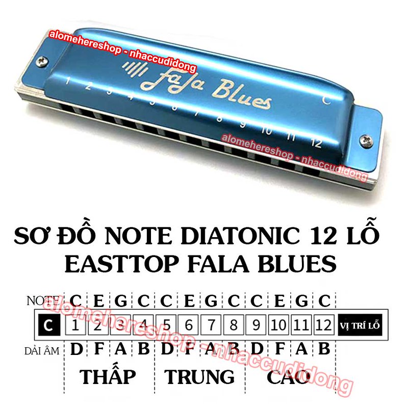 so do note ken harmonica diatonic 12 lo easttop fala blues