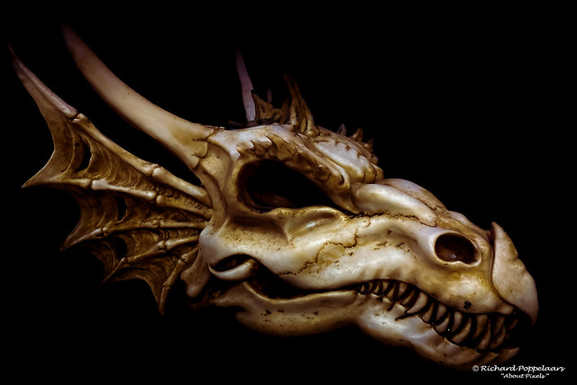 Skull of a Fire Dragon - Val d’Europe (Serris/FR)