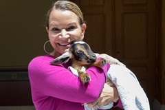 State Rep. Nicole Klarides-Ditria holds baby goat Tiana during New Milford Day at the Capitol.