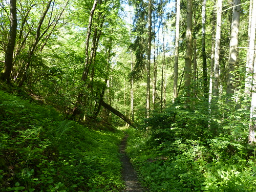 2023 Germany // Taunus-Lahnhöhenweg // Tour 11 // | by maerzbecher-Deutschland zu Fuss