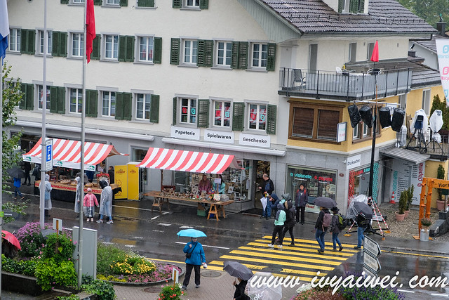 Swiss Festival -Entlebucher Alpabfahrt  (25)