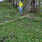 Fiirabigwanderung Schnebelhorn Mai 23'