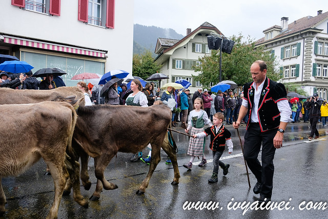 Swiss Festival -Entlebucher Alpabfahrt  (54)