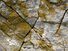 pierre et lichen 13 mai 2023 14h03min12s