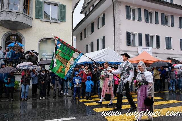 Swiss Festival -Entlebucher Alpabfahrt  (38)