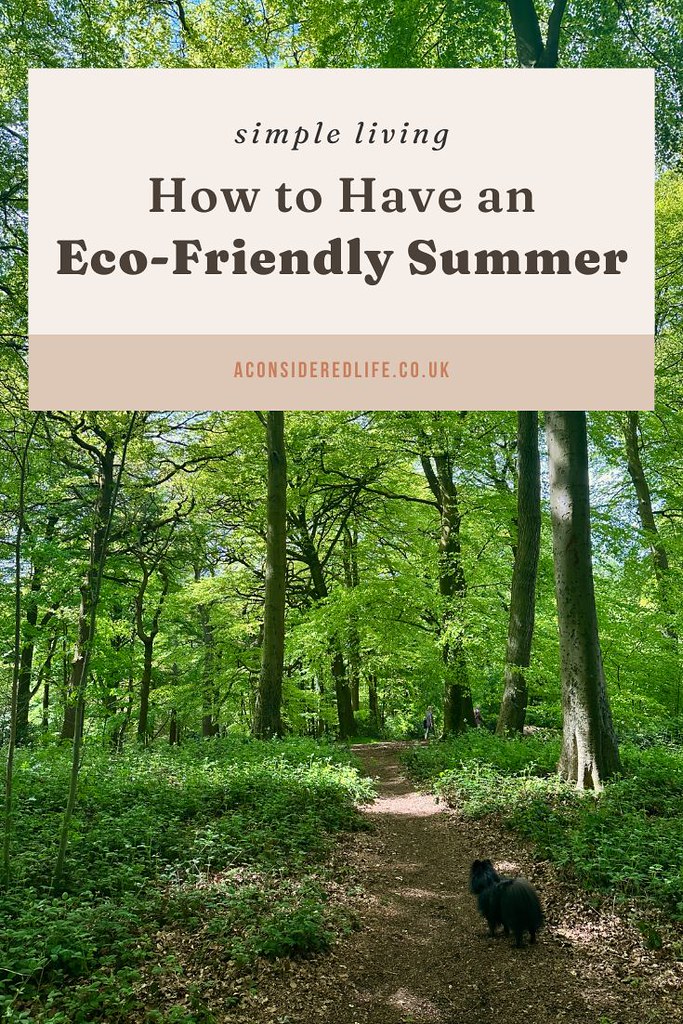 Eco-Friendly Summer Habits: Ways to Have a More Sustainable Summer