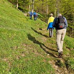 Fiirabigwanderung Schnebelhorn Mai 23'