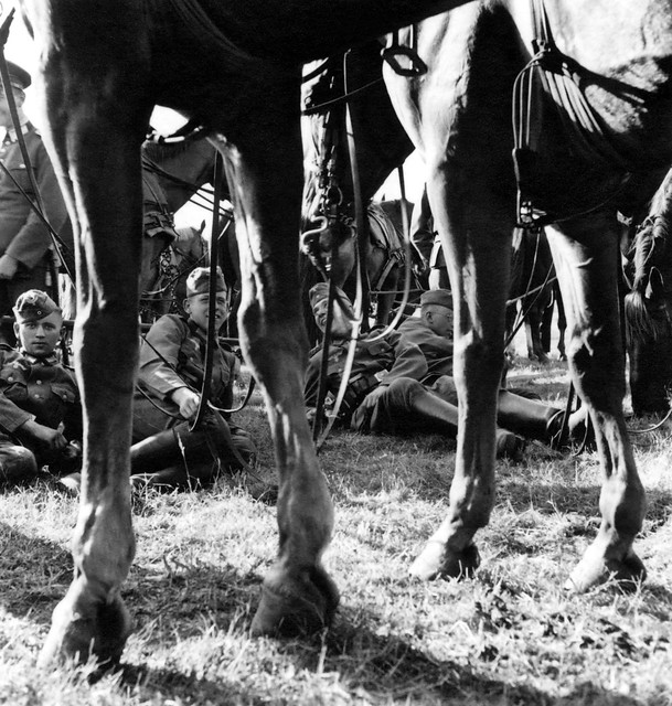 German soldiers enjoying a bit of rest with their horses circa WW2