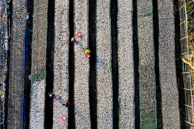 Aerial view of people working in a fish market drying fish at Chittagong, Bangladesh