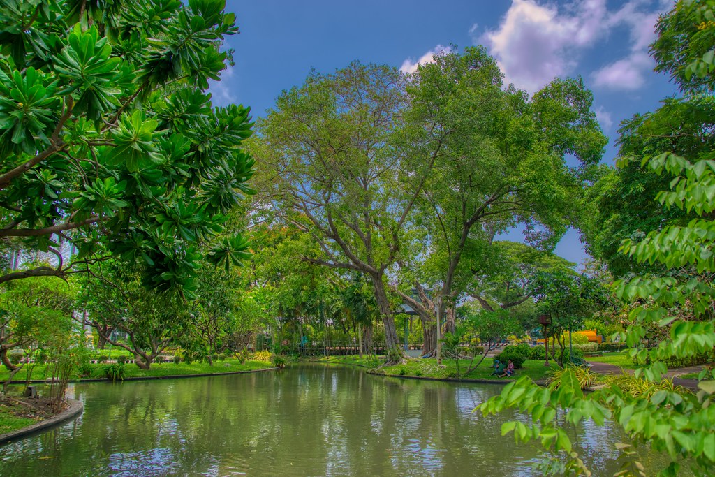 Trees and lake in Saranrom Park in Bangkok, Thailand