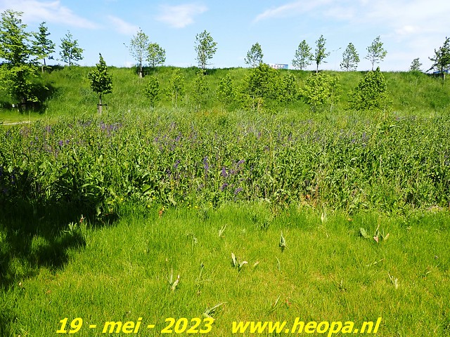 2023-05-19 Almere-Utopia   Kemphaan  (55)
