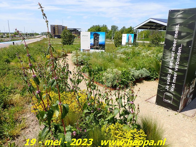 2023-05-19 Almere-Utopia   Kemphaan  (45)