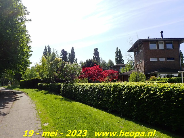 2023-05-19 Almere-Utopia   Kemphaan  (87)