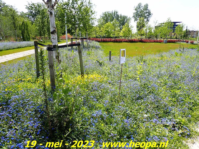 2023-05-19 Almere-Utopia   Kemphaan  (41)