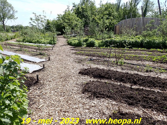 2023-05-19 Almere-Utopia   Kemphaan  (26)