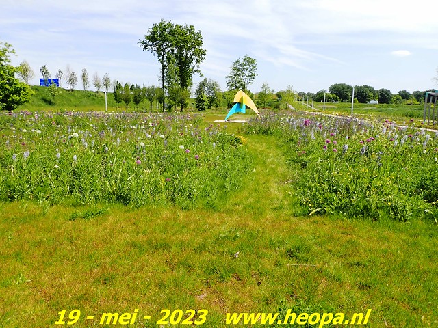 2023-05-19 Almere-Utopia   Kemphaan  (58)