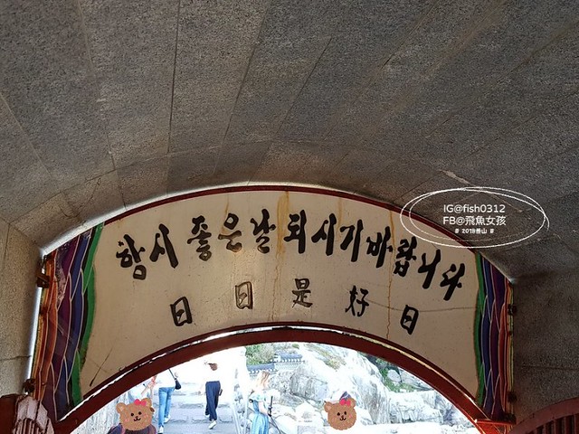 釜山海景,機張景點,海東龍宮寺,海雲台到海東龍宮寺交通,在釜山搭公車 