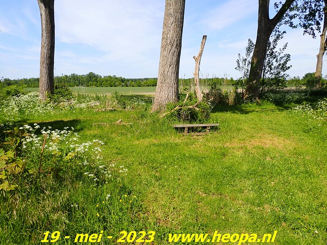 2023-05-19 Almere-Utopia   Kemphaan  (84)