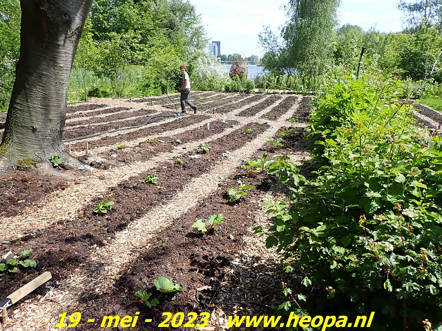 2023-05-19 Almere-Utopia   Kemphaan  (25)