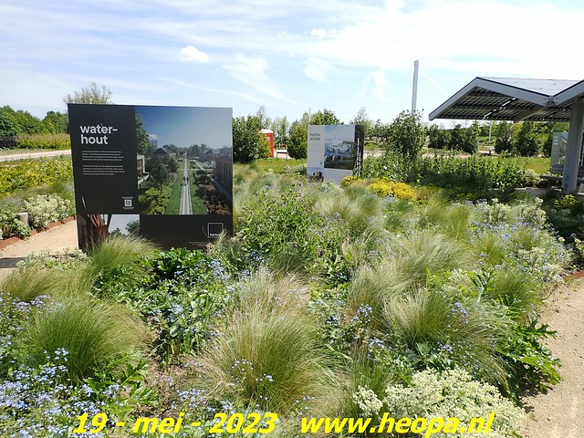 2023-05-19 Almere-Utopia   Kemphaan  (48)