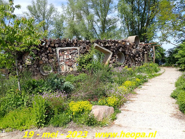 2023-05-19 Almere-Utopia   Kemphaan  (7)