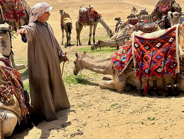 Camel rides at Giza