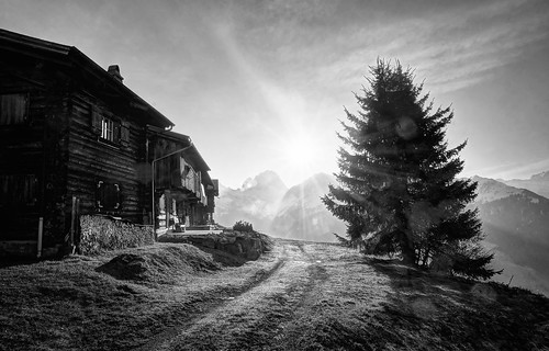 maiensäss schuders schiers switzerland grison graubünden austria alps swissalps mountain rockymountain building log house tree road dirtroad sun sunrise backlight day clear outdoor monochrome blackandwhite sony sonya6000 a6000 selp1650 3xp raw photomatix hdr qualityhdr qualityhdrphotography fav200