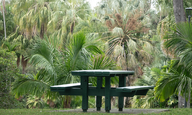 city gardens picnic bench