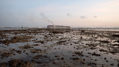 Living shores of Terumbu Pempang Laut, May 2023