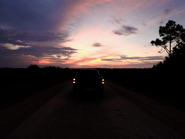 Tail Lights And A Painted Sky