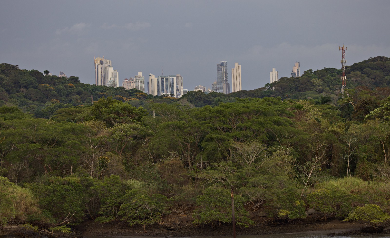 Panama City rising over the jungle in the twilight